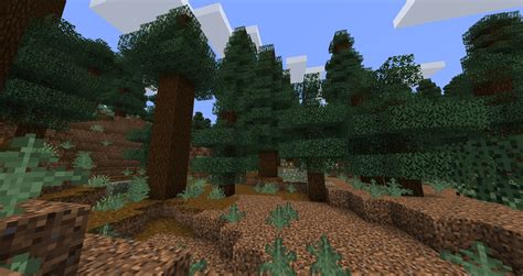 Old Growth Pine Taiga in Minecraft.